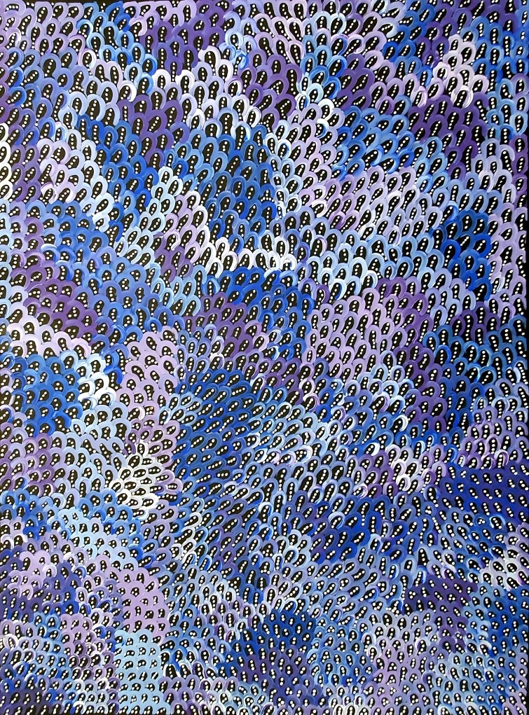 Aboriginal art , painting No.15406 by Artist Anna Price Pitjara Pitjara
