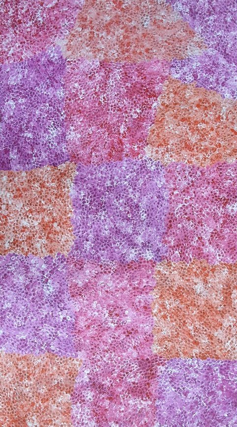 Aboriginal art , painting No.14624 by Artist Dulcie Long Pula