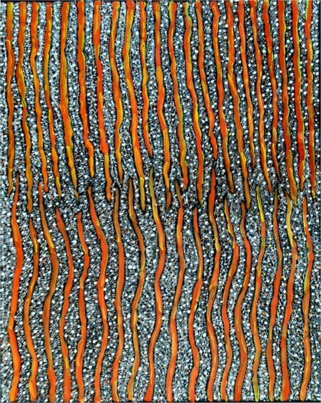 Aboriginal Art For SaleAda Parry Bushfire Dreaming